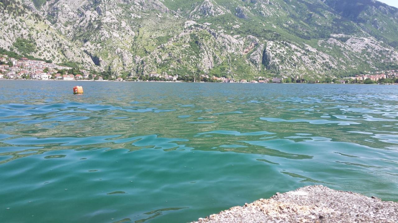 Apartment Radovic Κότορ Εξωτερικό φωτογραφία