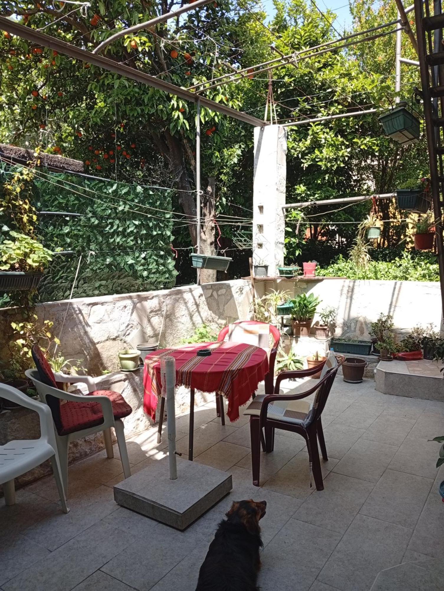 Apartment Radovic Κότορ Εξωτερικό φωτογραφία